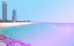 miami apartment, miami apartments, mimi beaches, coconut grove, property, property for rent, miami area, coral garble,miami apartment for rent,